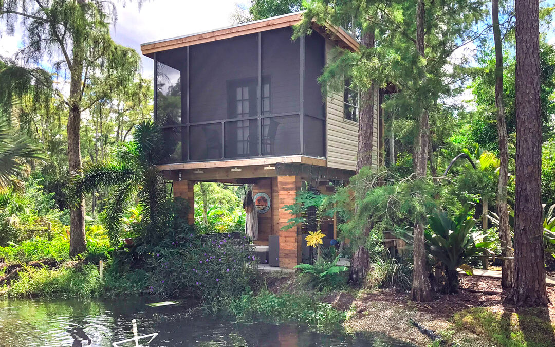 Elevated treehouse surrounded by trees, built above a pond in a natural wooded setting.