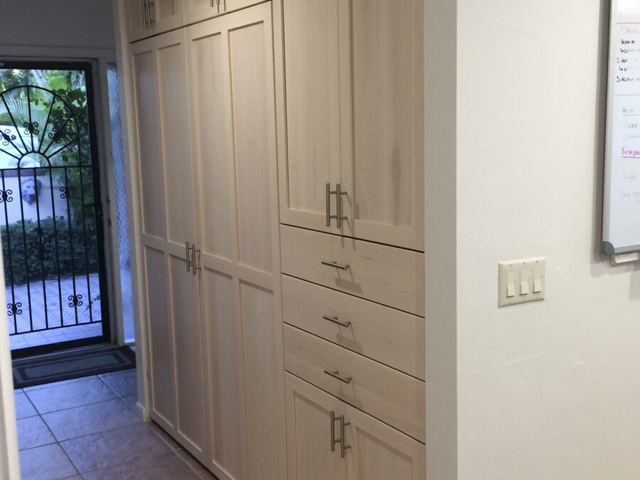 Kitchen Pantry and Cabinets