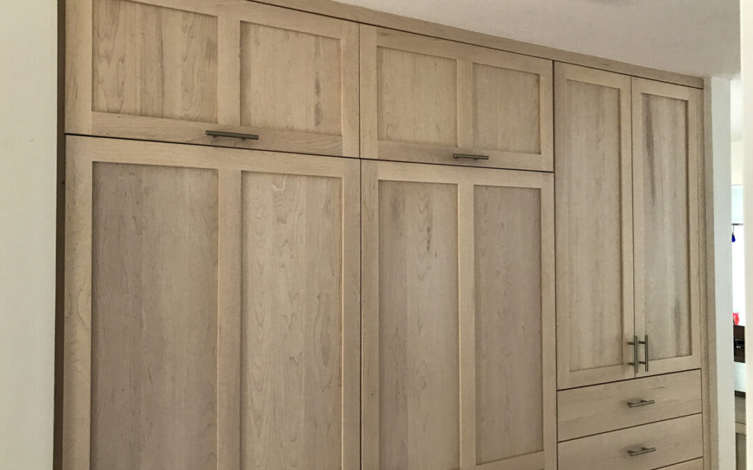 Kitchen Pantry and Cabinets