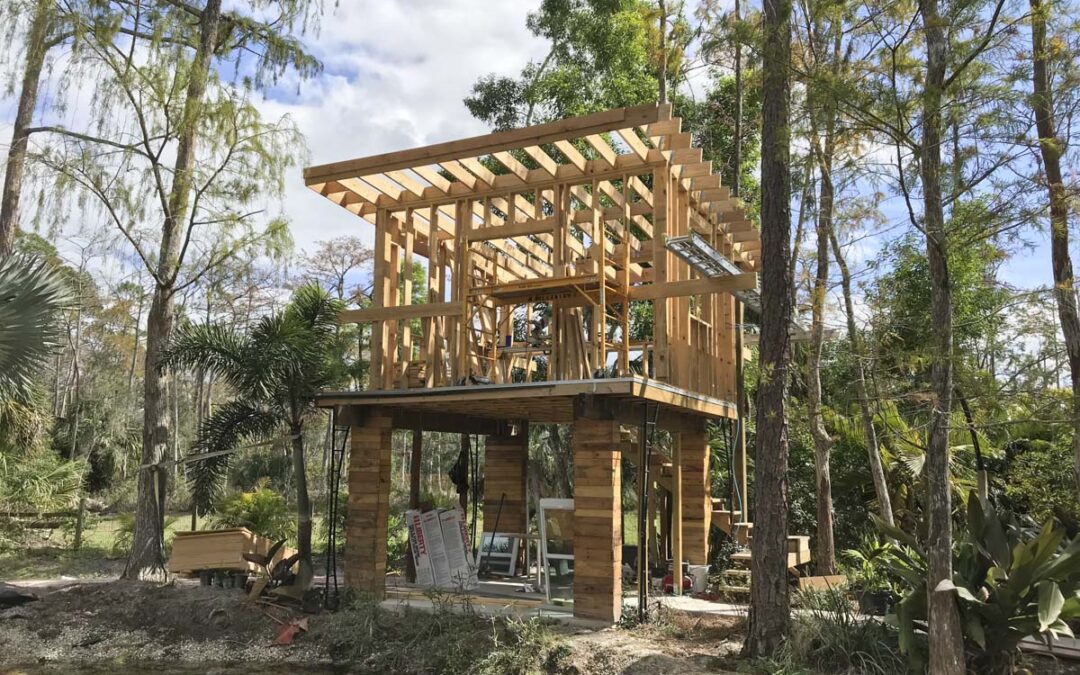 Framing of custom treehouse